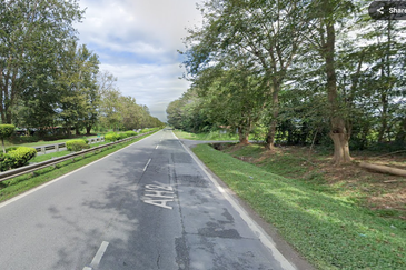 Agricultural land @ Kedah for sale 