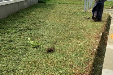 Hemingway Residence @ Bandar Seri Coalfields