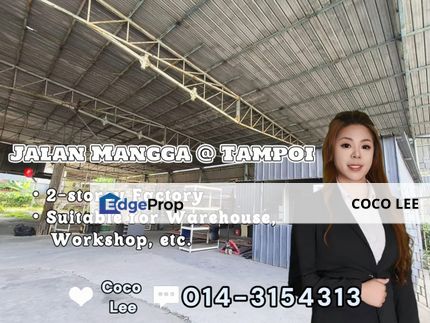 Jalan Mangga @ Tampoi, Johor, Johor Bahru