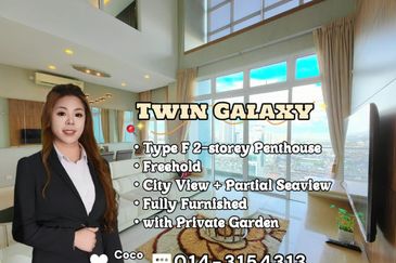 Twin Galaxy