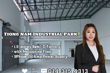 Tiong Nam Industrial Park