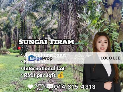 Sungai Tiram @ Freehold Agricultural Land, Johor, Ulu Tiram