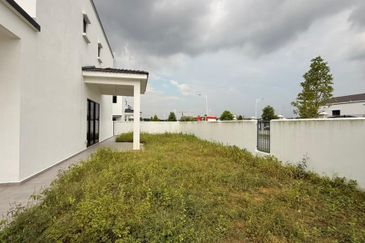 Tate Dalton @ Eco Botanic 2