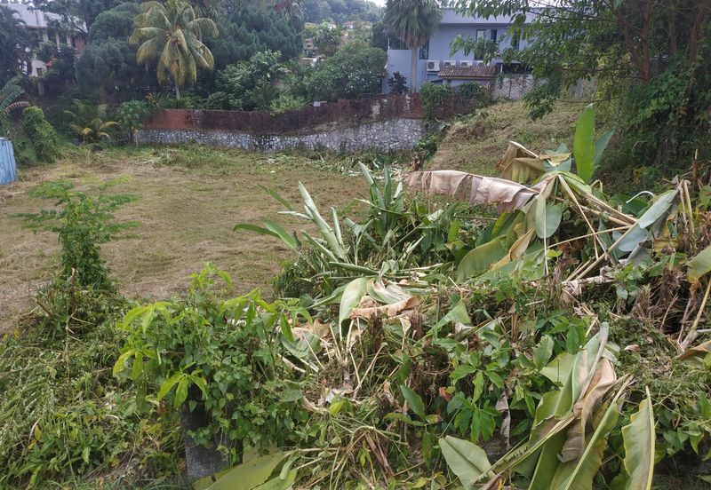 Seksyen 5, Petaling Jaya