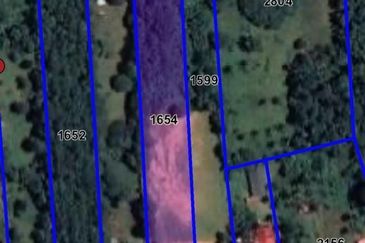 Kedawang Land 4.75 acres Malay Reserve