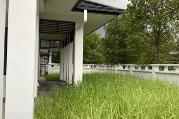 Tenderfields @ Eco Majestic