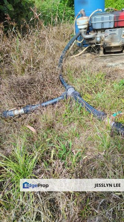 Old trees durian farm for sales at Simpang Pertang, Jelebu Negeri Sembilan Durian Land For sale, Negeri Sembilan, Jelebu