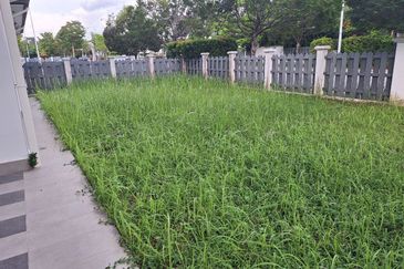 Tenderfields @ Eco Majestic