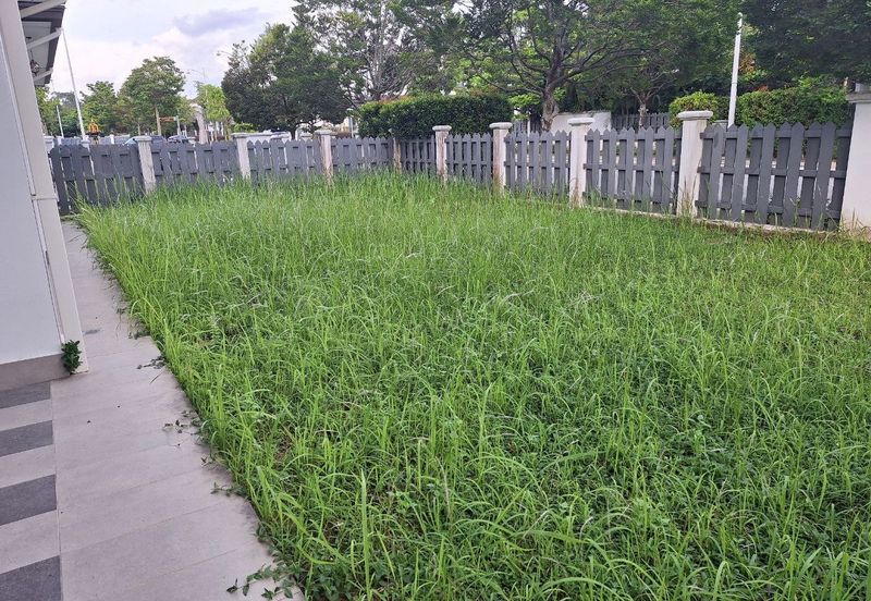 Tenderfields @ Eco Majestic