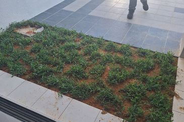 Springfield Residences @ Setia EcoHill 2