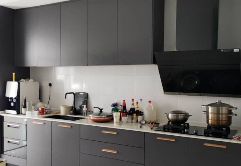 Ebonylane @ Eco Forest