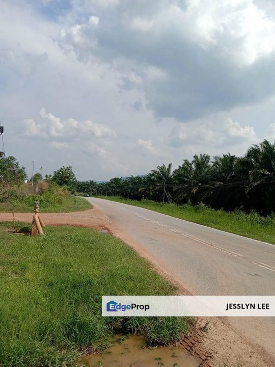 [Old trees durian farm] Simpang Pertang, Jelebu, Negeri Sembilan Agricultural Land For Sale, Negeri Sembilan, Jelebu
