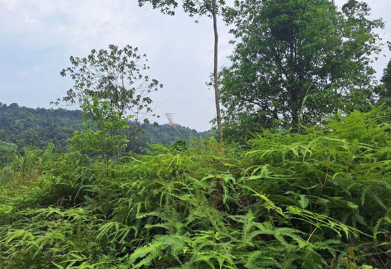 Taman Seri Sungai Long