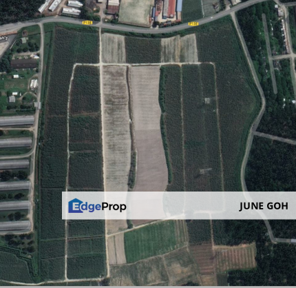 Jawi Industrial Land For Sale, Penang, Sungai Jawi