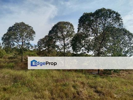 6.7 Acres ,Simpang Pertang, Jelebu, Negeri Sembilan, Jelebu