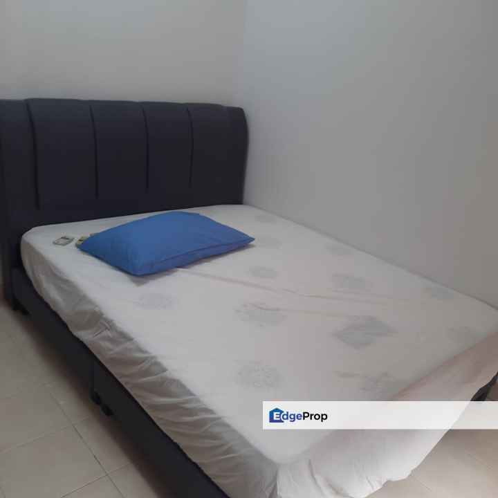 Koi Tropika, Selangor, Bandar Puteri Puchong