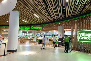 Dianthus @ Tropicana Gardens