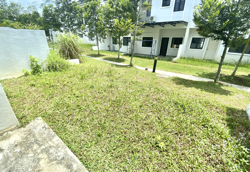 Monet Lily @ Sunsuria City