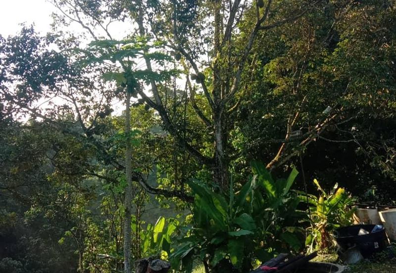 重工业地出售 34 acres HEAVY INDUSTRIAL LAND