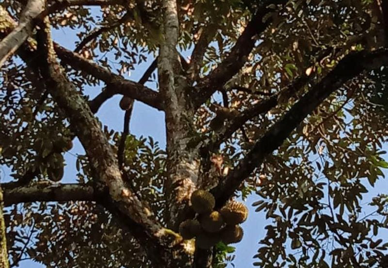 重工业地出售 34 acres HEAVY INDUSTRIAL LAND