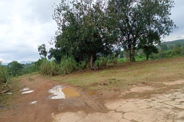 重工业地出售 34 acres HEAVY INDUSTRIAL LAND