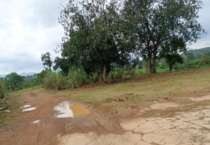 重工业地出售 34 acres HEAVY INDUSTRIAL LAND