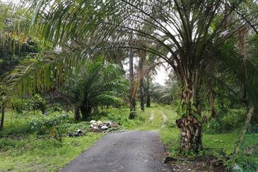 JALAN KAPAR-KUALA SELANGOR