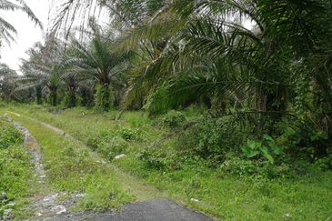JALAN KAPAR-KUALA SELANGOR