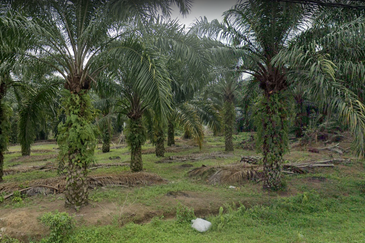 JALAN KAPAR-KUALA SELANGOR