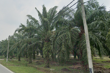 JALAN KAPAR-KUALA SELANGOR