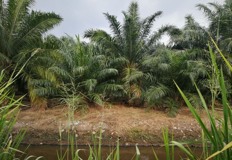 农业地出售 698 acres AGRICULTURE LAND