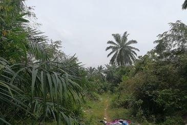 屋业地出售 45acres ZONED RESIDENTIAL LAND