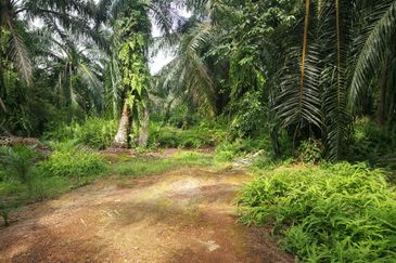 屋业地出售 45acres ZONED RESIDENTIAL LAND