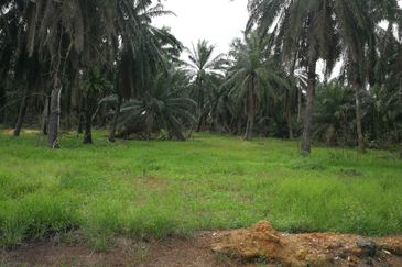 屋业地出售 45acres ZONED RESIDENTIAL LAND