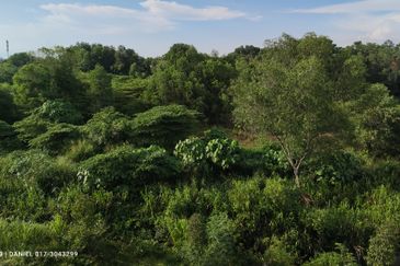 JALAN BUKIT KEMUNING