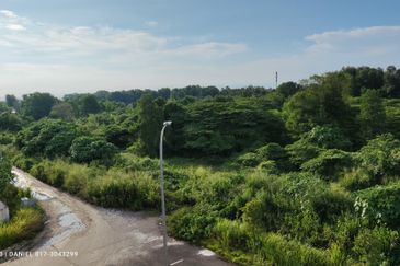 JALAN BUKIT KEMUNING