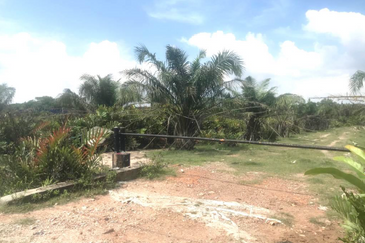 工业用途农地出售 3.65ac AGRICULTURE LAND 