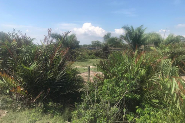 工业用途农地出售 3.65ac AGRICULTURE LAND 