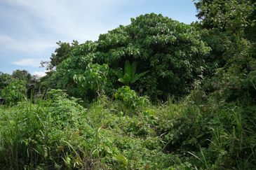 Telok Panglima Garang Industrial Zone