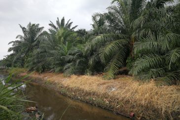 PEKAN TELOK PANGLIMA GARANG
