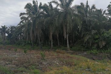 工业地出售 4.04acres MEDIUM INDUSTRIAL LAND