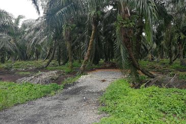 工业地出售 4.04acres MEDIUM INDUSTRIAL LAND