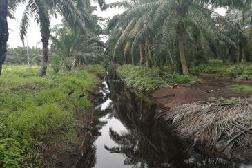 工业地出售 4.04acres MEDIUM INDUSTRIAL LAND