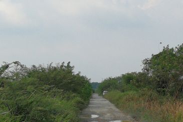 工业地出售 5 acres MEDIUM INDUSTRIAL LAND