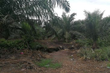 农业工业用途地 2.91ac ZONED INDUSTRIAL LAND