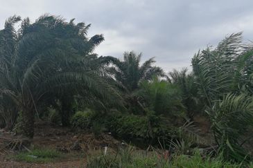 农业工业用途地 2.91ac ZONED INDUSTRIAL LAND