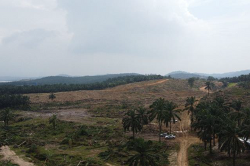 工业地出售 2ac READY to BUILD INDUSTRIAL LAND