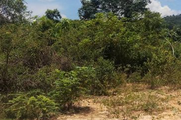 Bukit Piatu Agricultural Land, Mukim Dengkil, Sepang, Selangor