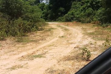 Bukit Piatu Agricultural Land, Mukim Dengkil, Sepang, Selangor