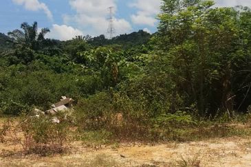 Bukit Piatu Agricultural Land, Mukim Dengkil, Sepang, Selangor